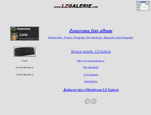 Tablet Screenshot of lzgalerie.com